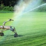 HOW OFTEN TO WATER GRASS AFTER PLANTING