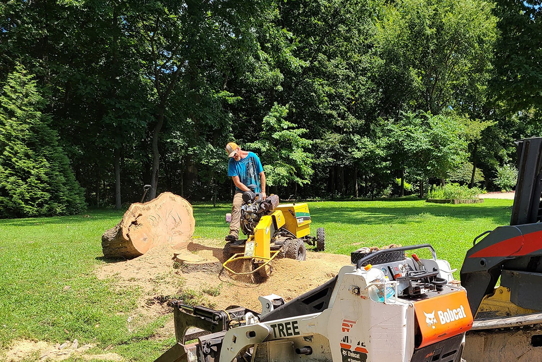 Comprehensive Tree Root Removal and Stump Grinding Services