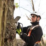 Professional tree lopping Sydney for storm prevention