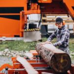 Stump Grinding Sydney: Is Grinding Better Than Stump Removal? A Full Comparison